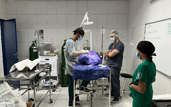 UPA Animal realiza mais de 37 mil procedimentos até setembro, em Crato