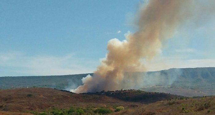 MP do Ceará abre investigação para apurar causas de incêndio na Chapada do Araripe
