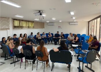 Rede de proteção socioassistencial discute alinhamento de fluxos para atendimento de crianças e adolescentes