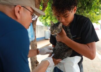 Frei Damião recebe o serviço de vacinação antirrábica nesta terça-feira (17)