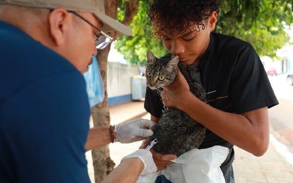 Frei Damião recebe o serviço de vacinação antirrábica nesta terça-feira (17)