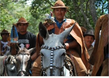 Devoção da Santa Cruz da Baixa Rasa, em Crato, resgata a religiosidade no coração da Flona Araripe