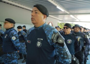 Guarda Civil Metropolitana alcança avanços significativos