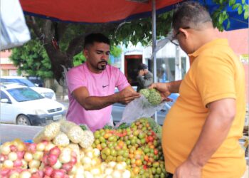 Feira da Agricultura Familiar completa um ano em Juazeiro do Norte