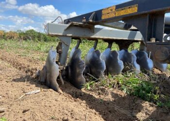 Proara chega a mais de 50% de execução em Crato