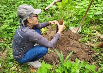 Semana da Água e da Árvore do Crato será aberta no próximo domingo, 30, na Flona