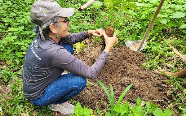 Semana da Água e da Árvore do Crato será aberta no próximo domingo, 30, na Flona