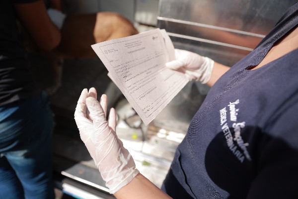 Unidade de Vigilância de Zoonoses realiza mais de 260 testes de leishmaniose em 2025