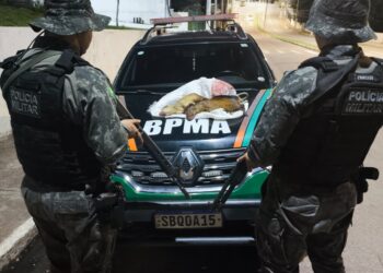 BPMA prende homem suspeito de caça ilegal