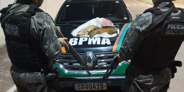 BPMA prende homem suspeito de caça ilegal
