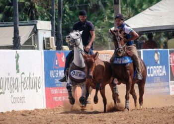 56ª Vaquejada de Missão Velha promete reunir vaqueiros de todo o Nordeste e distribuir mais de R$ 100 mil em prêmios