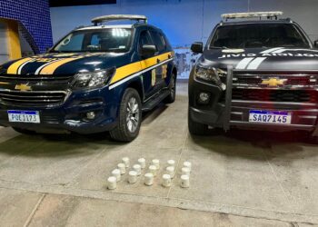 PRF apreende cerca de 6,4 kg de cocaína em ônibus durante fiscalização na BR-116, em Milagres/CE