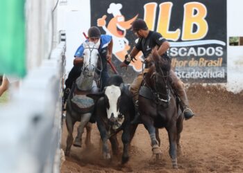 Vaquejada de Juazeiro do Norte começa nesta quarta-feira, 9 de julho