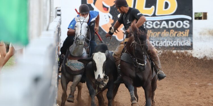 Vaquejada de Juazeiro do Norte começa nesta quarta-feira, 9 de julho