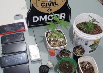 PCCE prende homem em flagrante por tráfico de drogas em Cedro