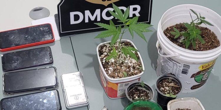 PCCE prende homem em flagrante por tráfico de drogas em Cedro