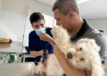 UPAA Lessa registra mais de 70 mil atendimentos desde a inauguração e intensifica ações