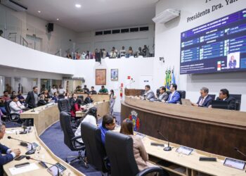 Câmara de Juazeiro aprova criação do SOS-PET e programa de incentivo ao emprego para mães solo