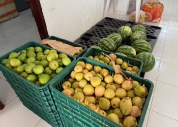 PAA Alimentos entrega 1,1 tonelada para entidades assistenciais e programas sociais do Crato