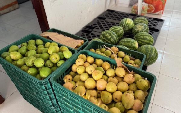 PAA Alimentos entrega 1,1 tonelada para entidades assistenciais e programas sociais do Crato