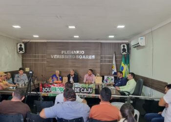 São Geraldo marca presença em audiência sobre a cajucultura na Câmara Municipal de Severiano Melo, no RN