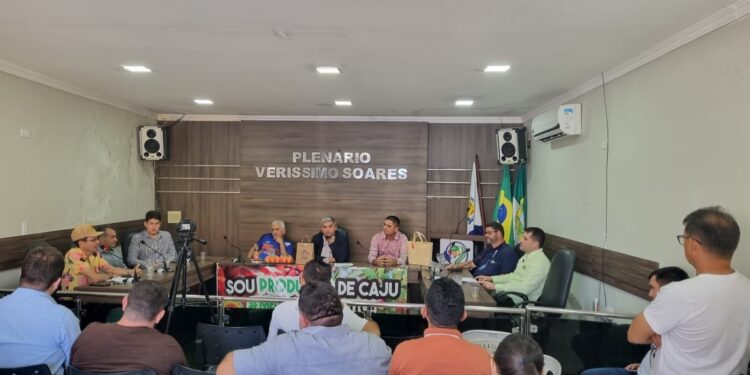 São Geraldo marca presença em audiência sobre a cajucultura na Câmara Municipal de Severiano Melo, no RN