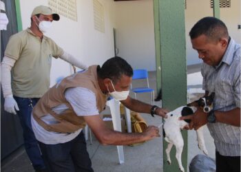 Dezembro verde: Barbalha inicia ações e feira de adoção