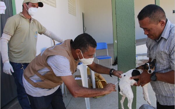 Dezembro verde: Barbalha inicia ações e feira de adoção