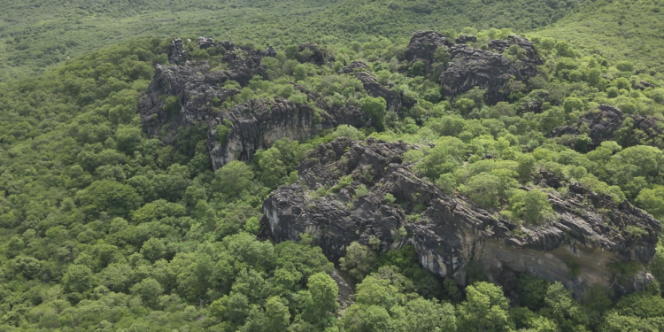 Governo do Estado cria cinco novas unidades de conservação na Caatinga cearense