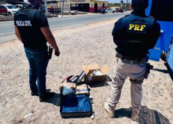 Mulher em posse de 16 kg de drogas é presa pela PCCE e PRF em Várzea Alegre