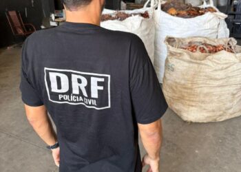 PCCE apreende mais de três toneladas de fios de cobre em Juazeiro do Norte