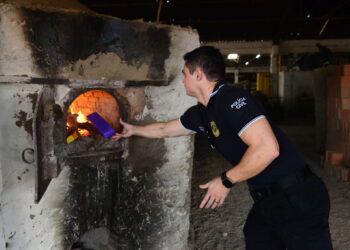 Última do ano: Polícia Civil incinera mais de uma tonelada de drogas apreendidas no Ceará