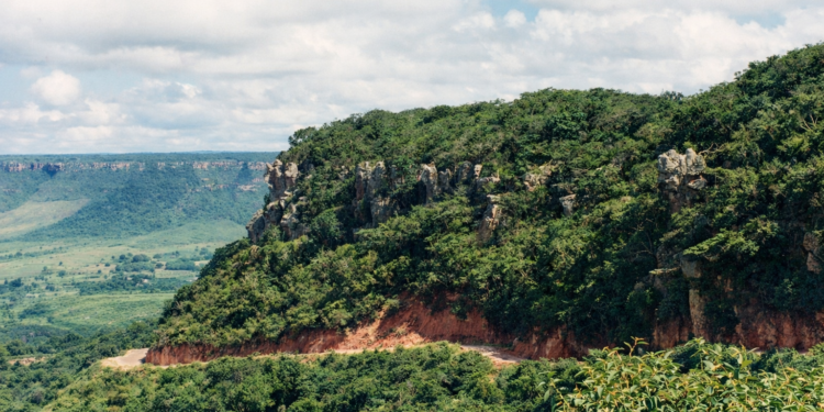 Ato salve a Chapada do Araripe acontecerá em Exú no sábado (24)