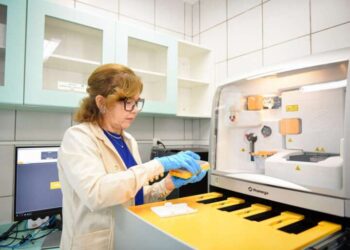 Ceará 1° Lugar: identificação de pessoas desaparecidas no Brasil