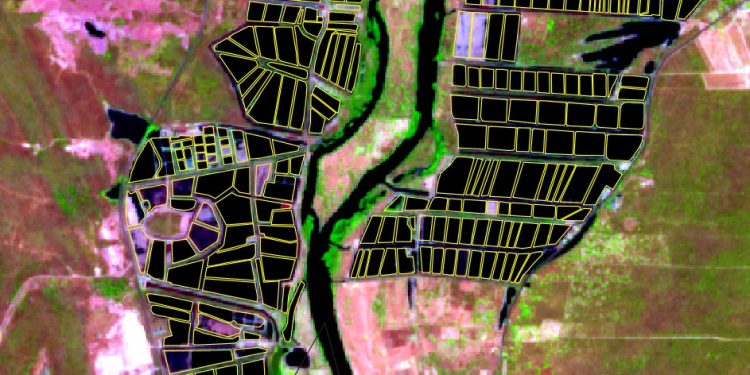 Aquicultura cresce no Ceará e área destinada à atividade chega a mais de 16 mil hectares em 2025