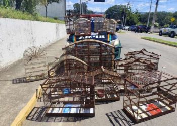 Polícia Militar resgata 16 aves silvestres mantidas irregularmente em cativeiro no Crato