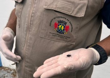 Juazeiro do Norte descarta infestação de barbeiro após vistorias em residências