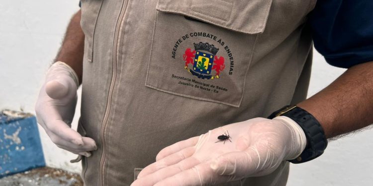 Juazeiro do Norte descarta infestação de barbeiro após vistorias em residências