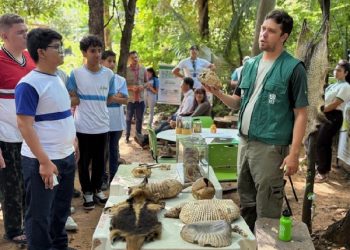 Crato promove ampla programação para a Semana do Meio Ambiente 2026 a partir de 1º de junho
